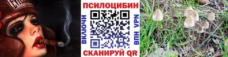 Галлюциногенные грибы Magic Shrooms Мурманск